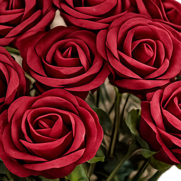 roses_optimized