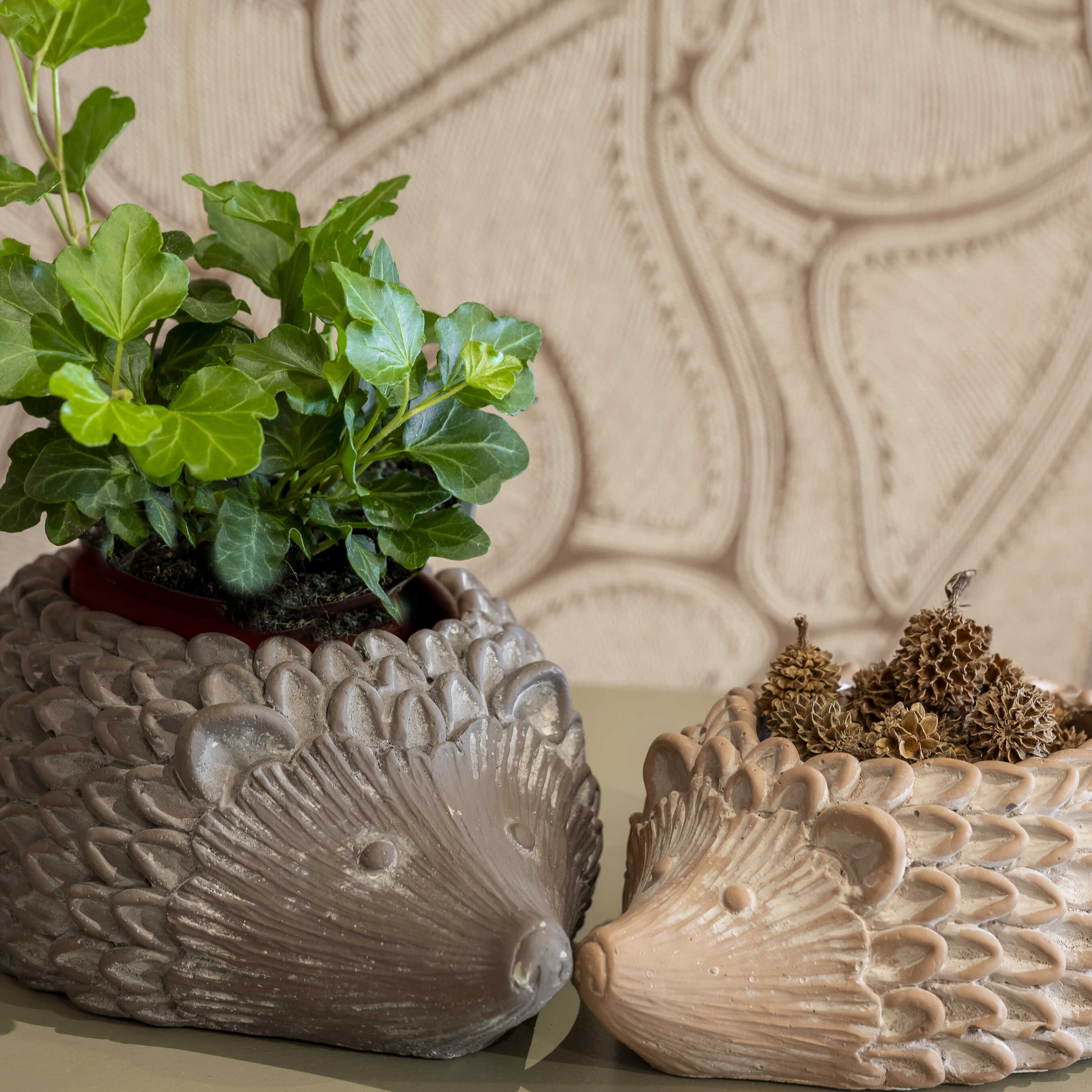 onze-kracht-4_optimized